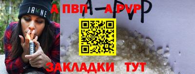 стаф Тула