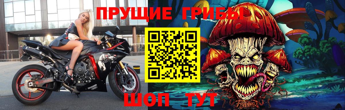 Галлюциногенные грибы прущие грибы  Вход с VPN  Миллерово 