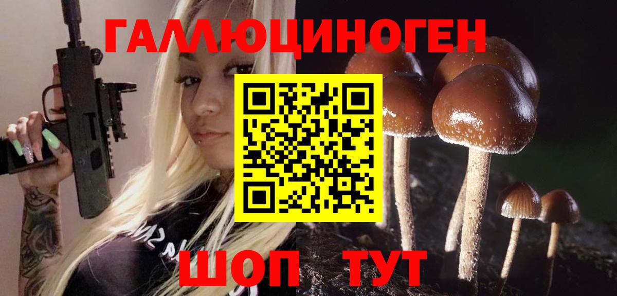 Псилоцибиновые грибы Psilocybe Миллерово
